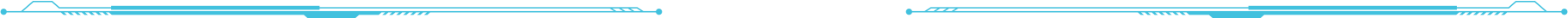 Right Image